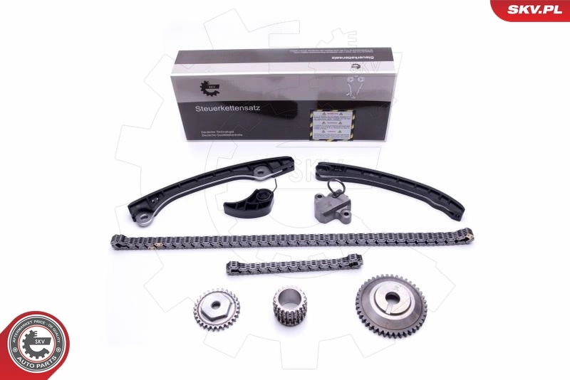 Timing Chain Kit